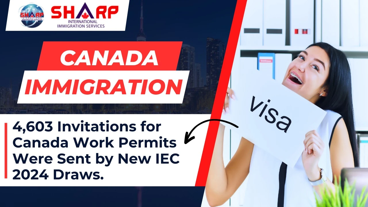 canada pr, work visa, IEC draw, canada visa, ircc, immigration canada, siis